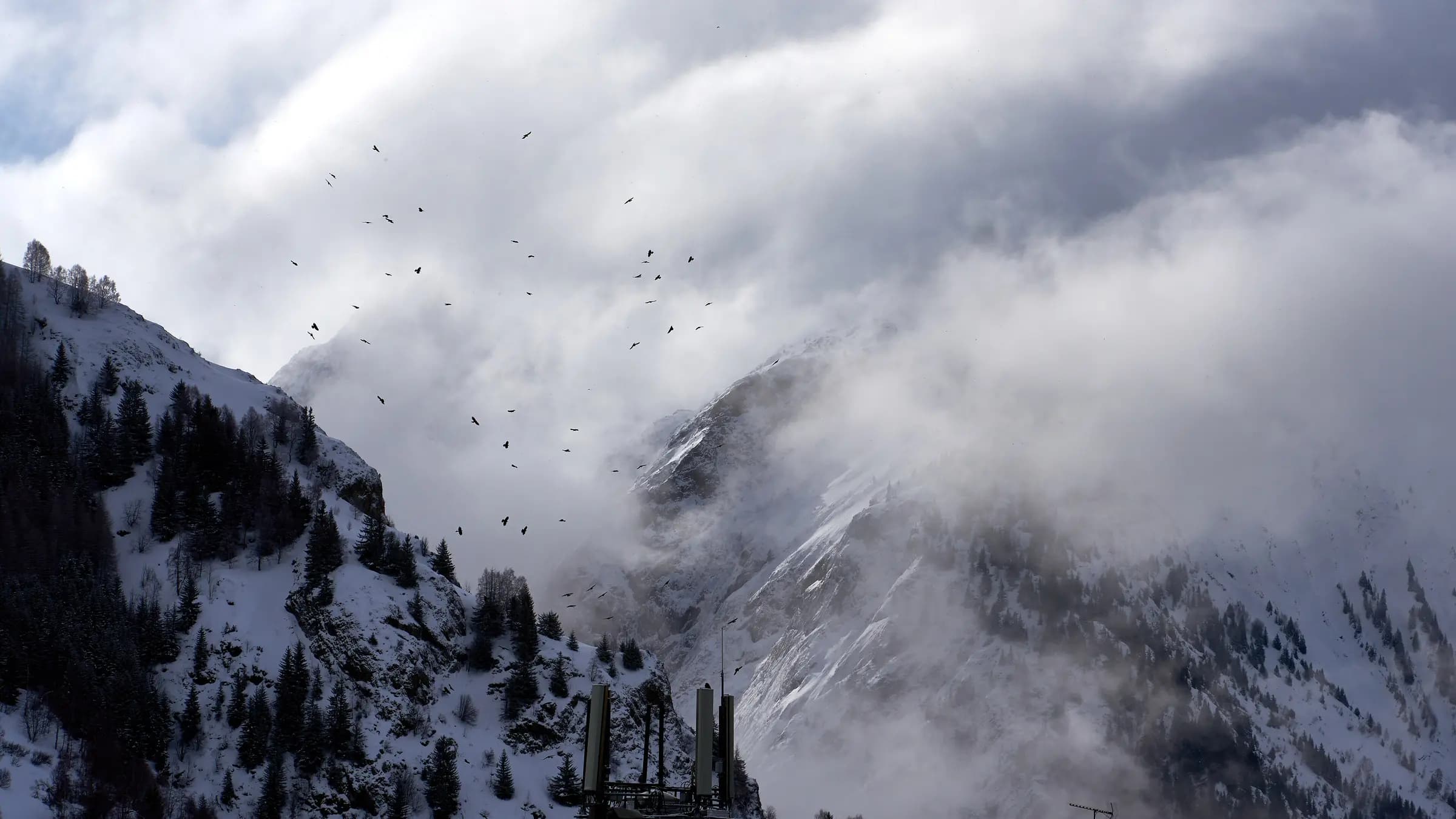 French Alps