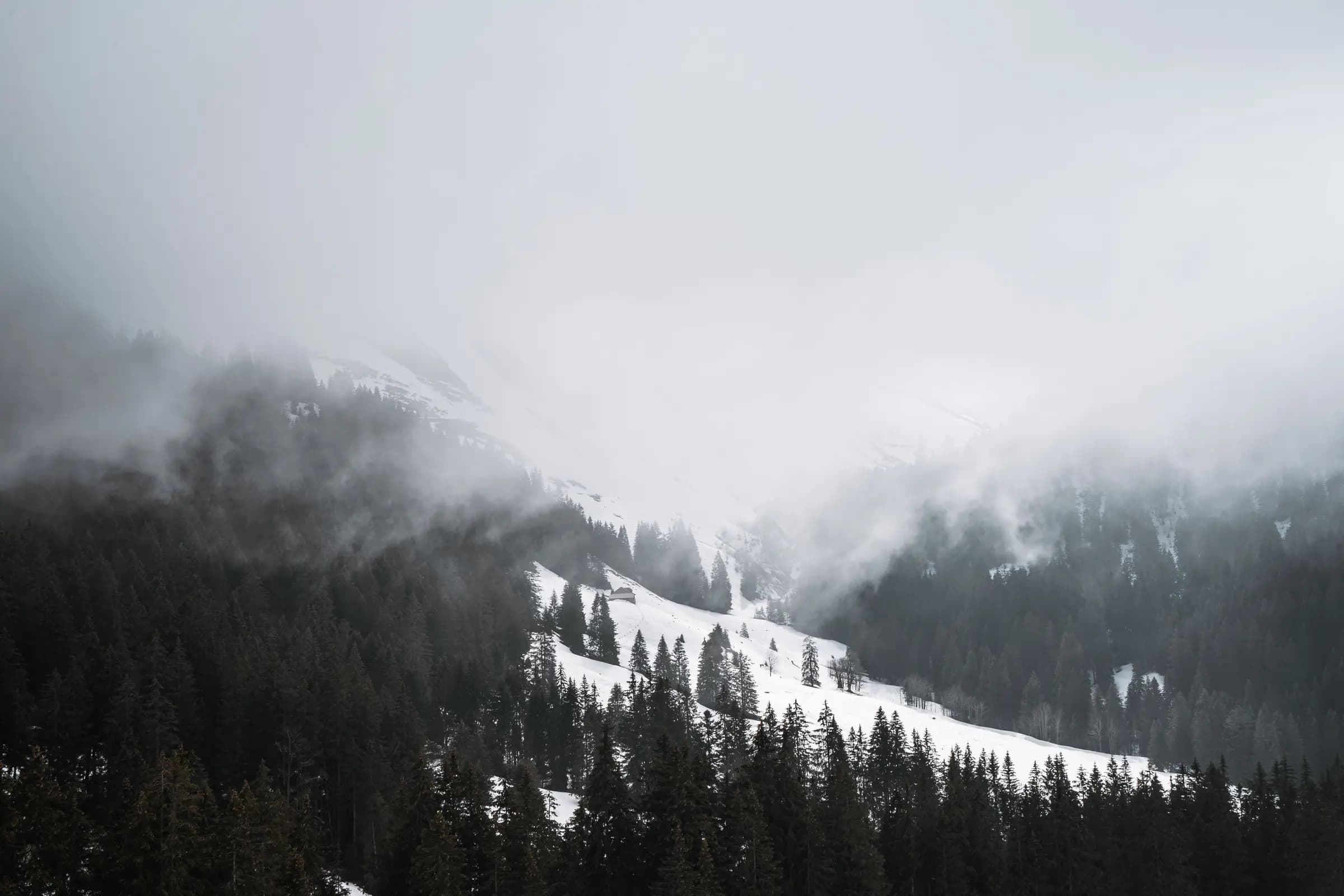Misty winter view of snowy mountains and pine trees in Châtel-Saint-Denis, Switzerland.
