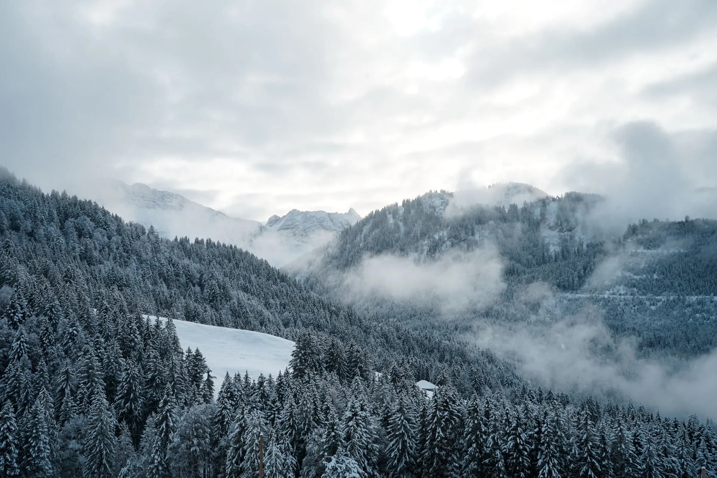 Winter landscape with foggy snowy mountains and dense pine forests in Châtel-Saint-Denis, Switzerland.
