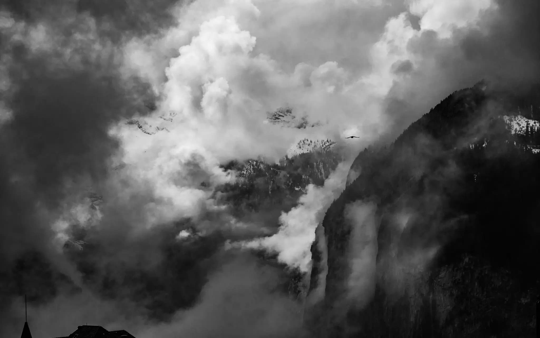 500px provided description: An eagle soaring through the valley between the Swiss Alps in the town of Wengen. [#sunrise ,#fog ,#switzerland ,#mountains ,#nature ,#sun ,#clouds ,#black and white ,#monochrome ,#landscapes ,#dawn ,#weather ,#alps ,#classic ,#eagle ,#overcast ,#dramatic sky ,#travel photography ,#moody sky ,#valleys ,#b&w ,#wengen ,#Swiss alps ,#natural landscapes ,#swiss valleys]