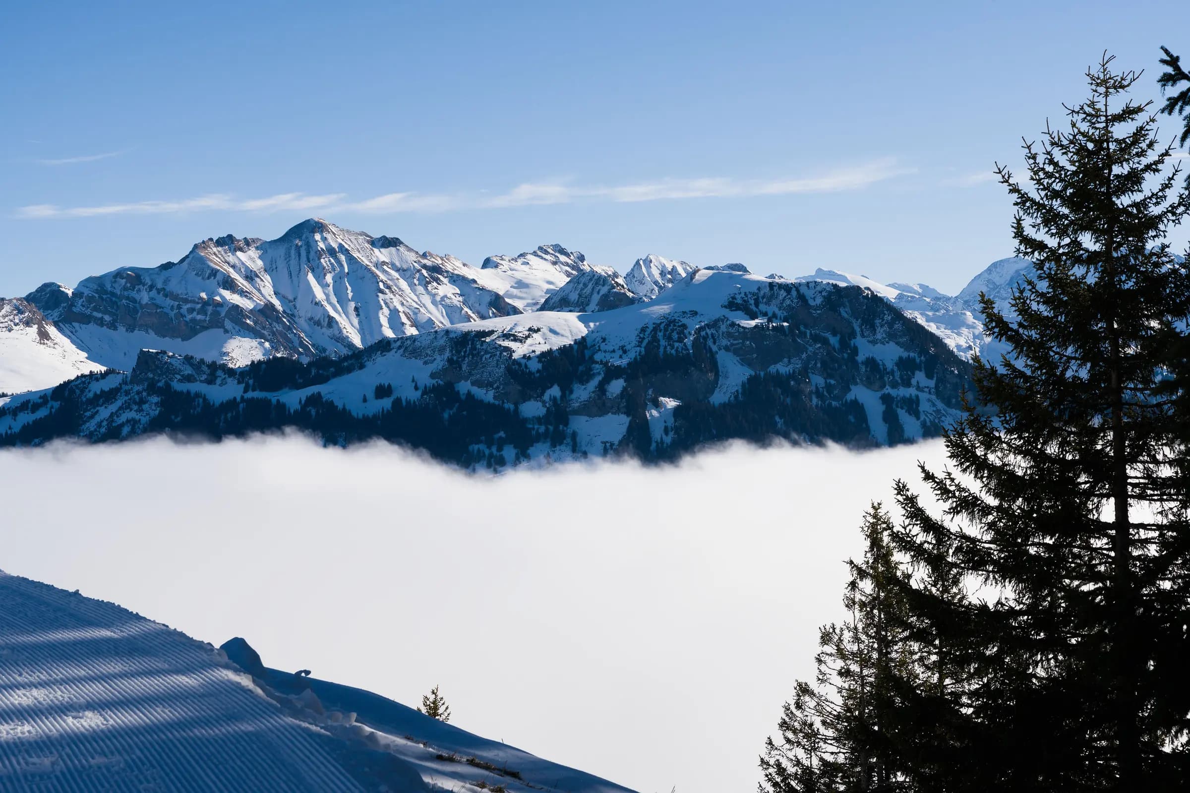 Stunning view of snow-capped Swiss Alps above the clouds on a clear winter day.