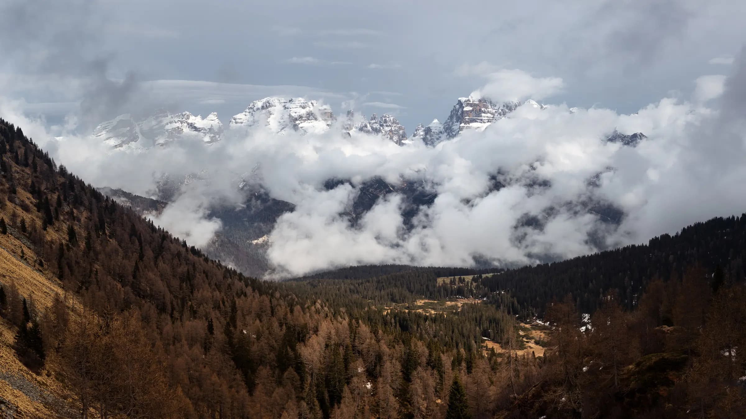 A stunning view of snow-covered peaks and dense forests under cloudy skies in the Alps.