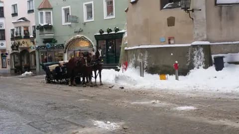 Only two horses