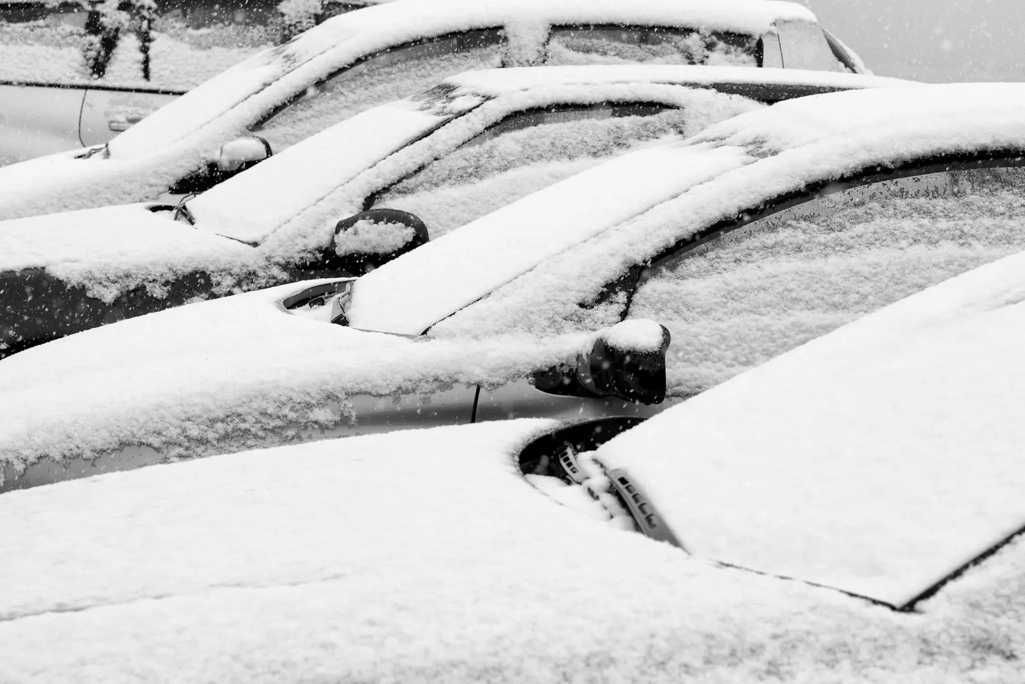 snow #2